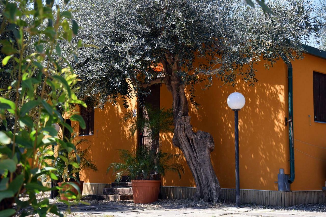 Riviera Degli Eucalipti - Cottage In Riva Al Mare Acireale Exterior photo